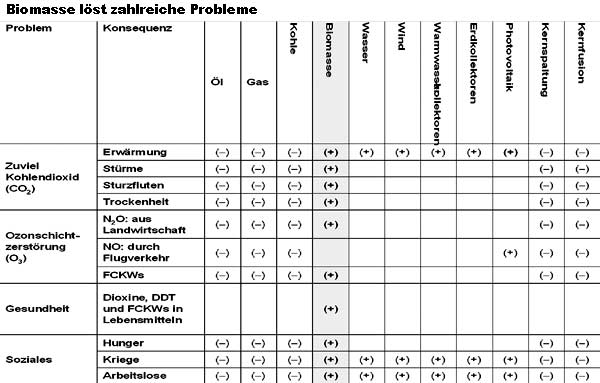 Raggam, Bild 3: Biomasse als Lösung zahlreicher Probleme: Ozonschichtzerstörung, Krankheiten durch Umweltverschmutzung, Arbeitslosigkeit